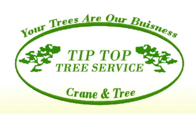 Business logo for Tip Top Crane and Tree Service