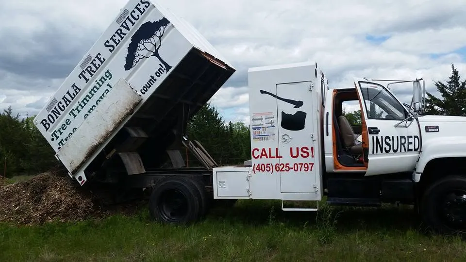 Business logo for Bongala Tree Service